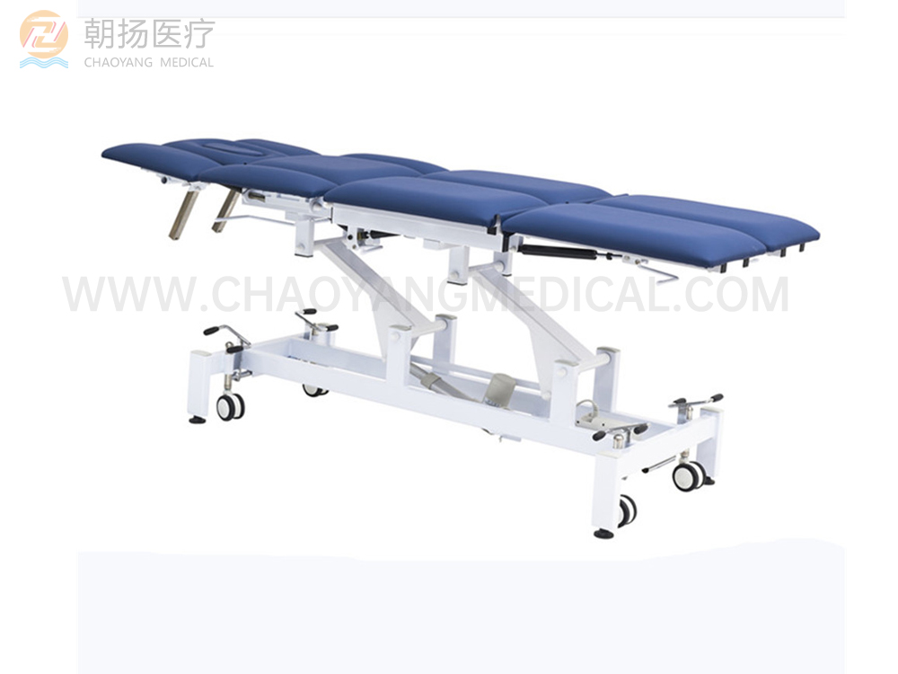 多功能電動床 CY-C119